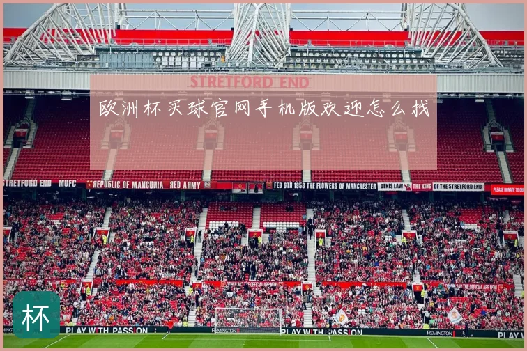 欧洲杯买球官网手机版欢迎怎么找
